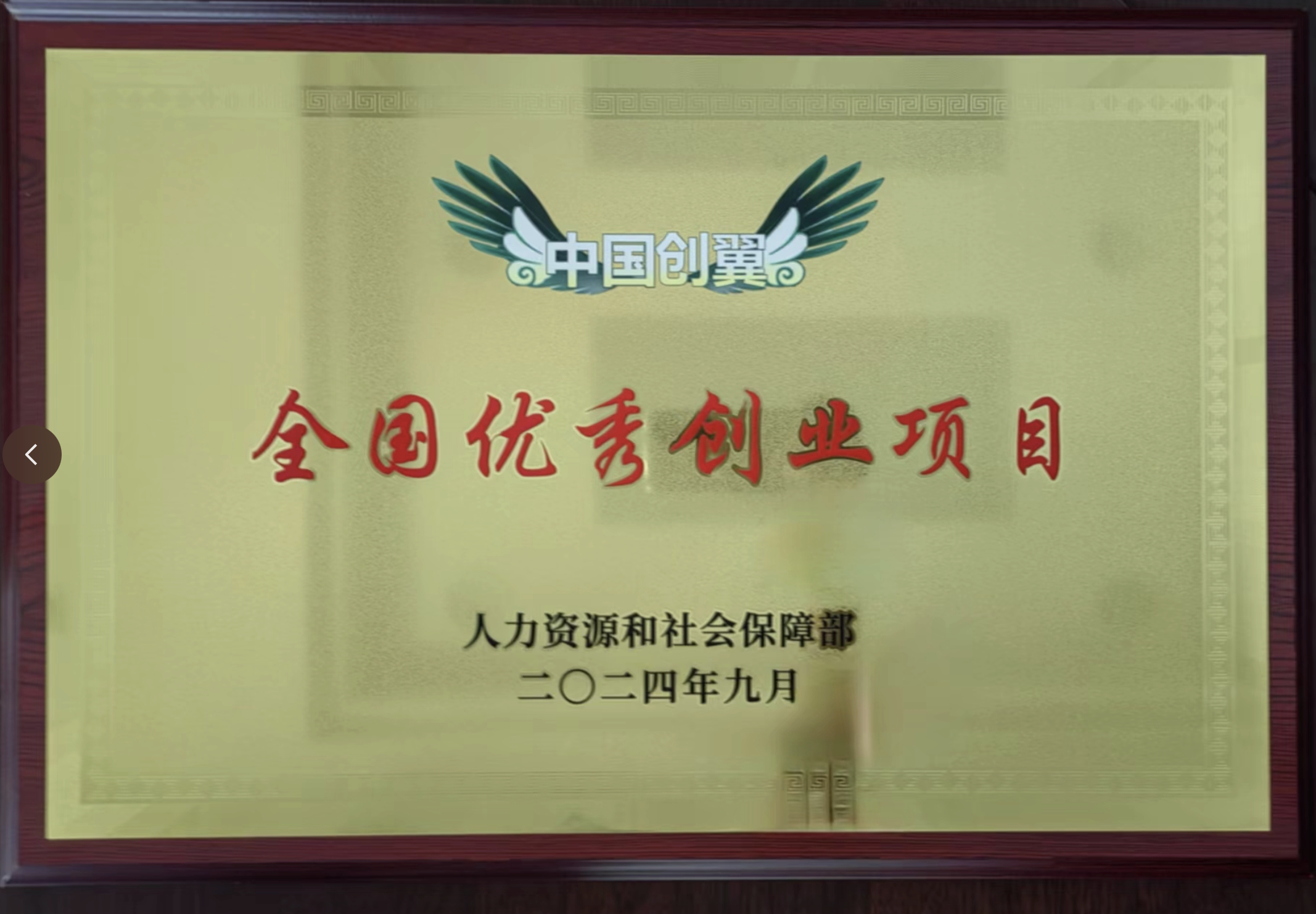 全国优秀创业项目