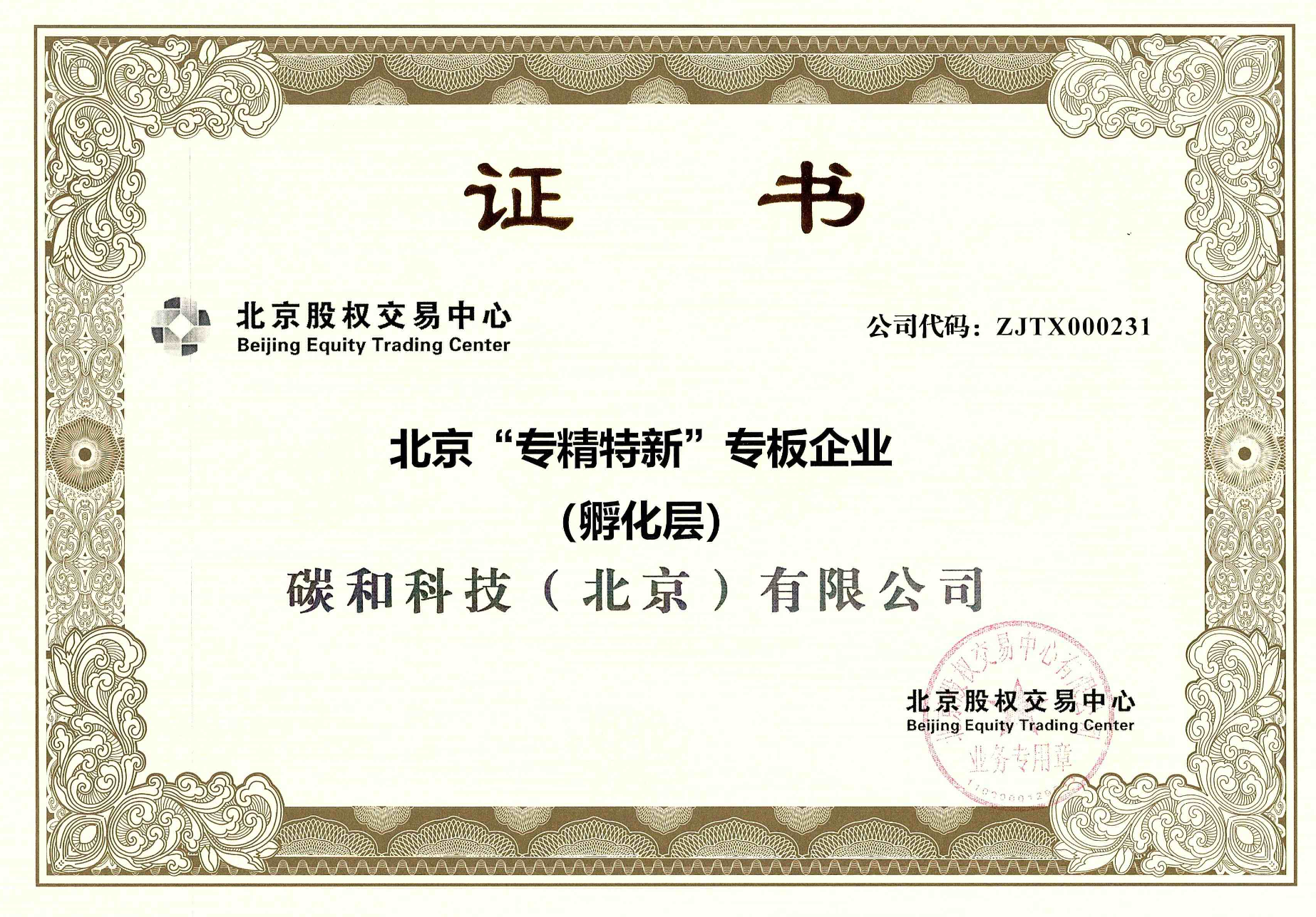 北京专精特新专业版企业